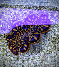 Aquatic Creations LLC. - Photo 9 - Car repair in Brookline, NH, Nashua