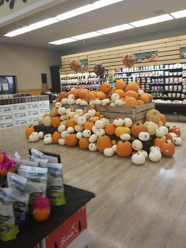 Grocery Store «Jewel-Osco», reviews and photos, 800 W North Ave, Melrose Park, IL 60160, USA