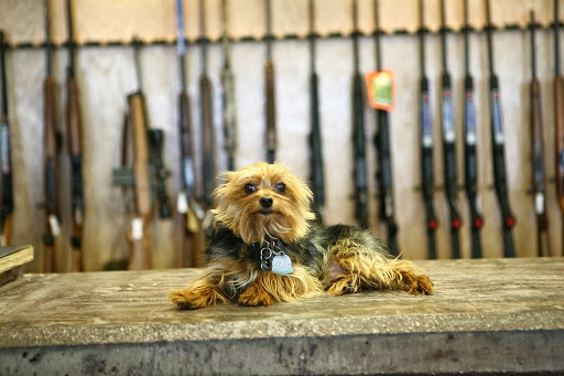 Pawn Shop «Armed Sources Gun & Pawn», reviews and photos, 1777 S Grant Ave, Springfield, MO 65807, USA