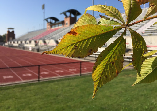 Stadium «Jesse Owens Memorial Stadium», reviews and photos, 2450 Fred Taylor Dr, Columbus, OH 43210, USA