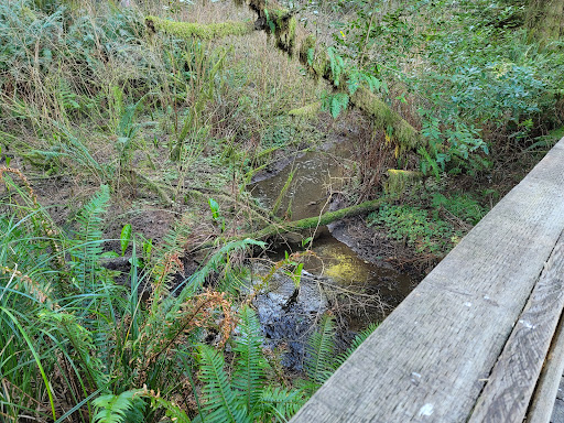 Tourist Attraction «Prehistoric Gardens», reviews and photos, 36848 US-101, Port Orford, OR 97465, USA