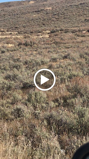 Gun Shop «Wyoming Guns», reviews and photos, 5987 S Suncoast Blvd, Homosassa, FL 34446, USA