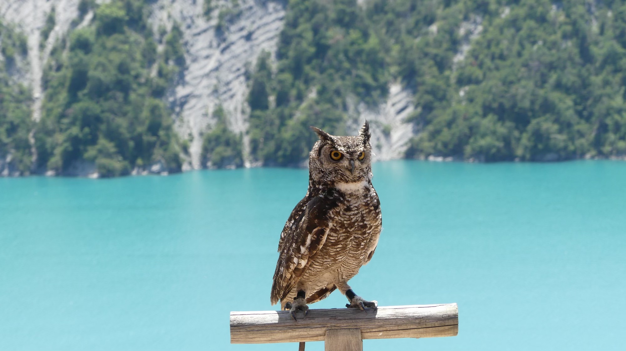 Photo n° 1 de l'avis de Clément.t fait le 28/06/2023 à 15:32