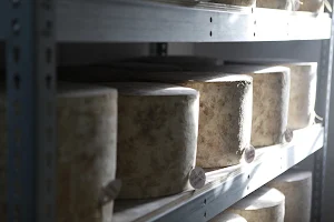 Cheddar Gorge Cheese Company image