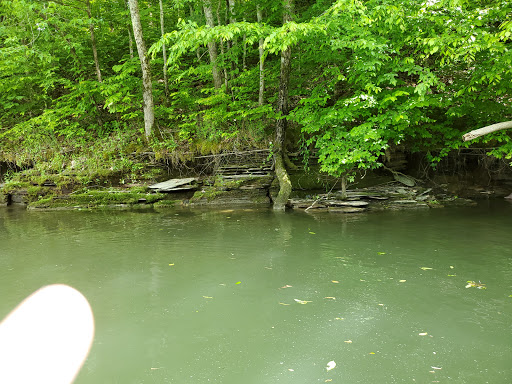 Marina «Mitchell Creek Marina», reviews and photos, 1260 Livingston Boat Dock Rd, Allons, TN 38541, USA