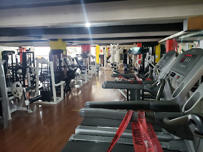 SILVER SPORT GYM