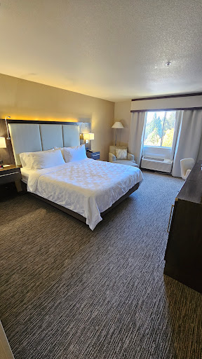 Holiday Inn Auburn, an IHG Hotel image