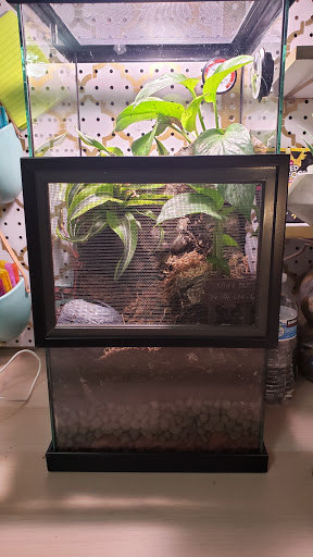 Reptile Store «La Habra Pets», reviews and photos, 1919 W La Habra Blvd, La Habra, CA 90631, USA