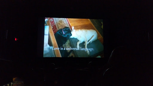 Movie Theater «Teaneck Cinemas», reviews and photos, 503 Cedar Ln, Teaneck, NJ 07666, USA