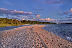 Lloyd Neck Beach image