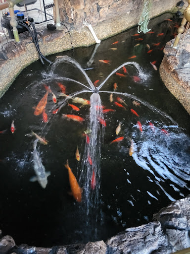 Car Wash «Pacific Car Wash Corporation», reviews and photos, 41080 Trimboli Way, Fremont, CA 94538, USA