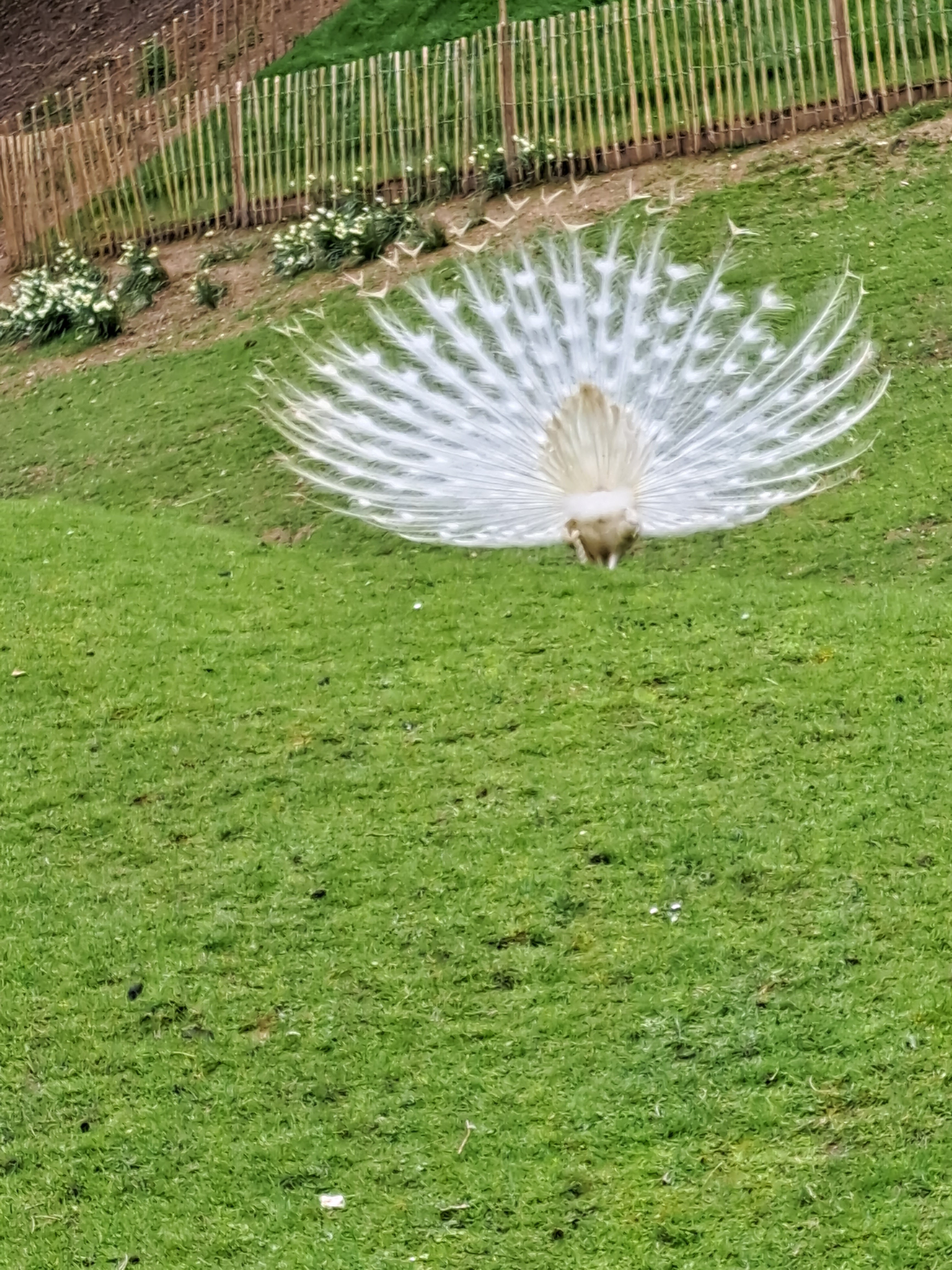 Photo n° 2 de l'avis de REGIS.L fait le 03/05/2023 à 08:57