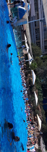Jerusalem forest swimming pool