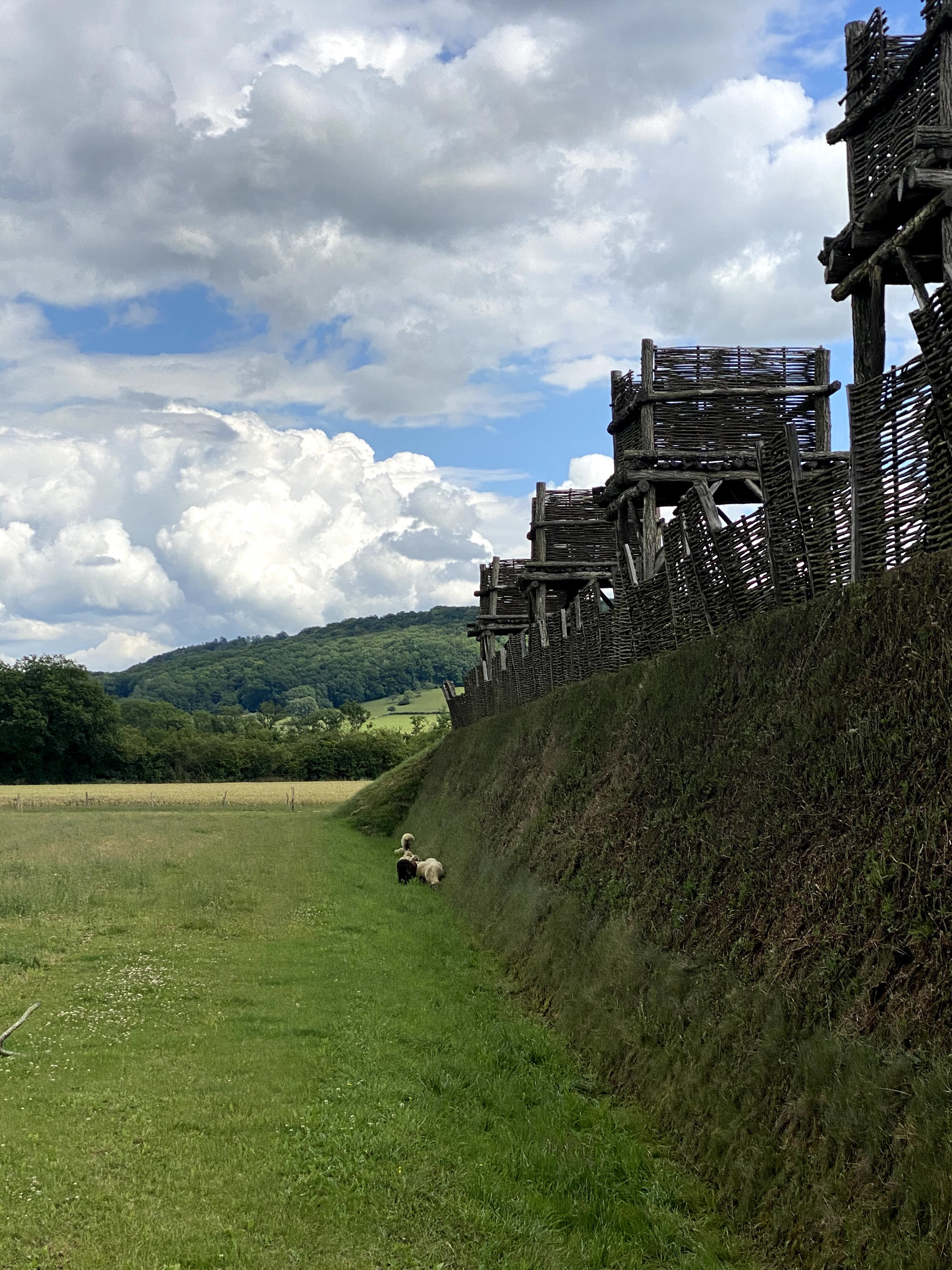 Photo n° 15 de l'avis de Marion.A fait le 25/06/2020 à 06:55