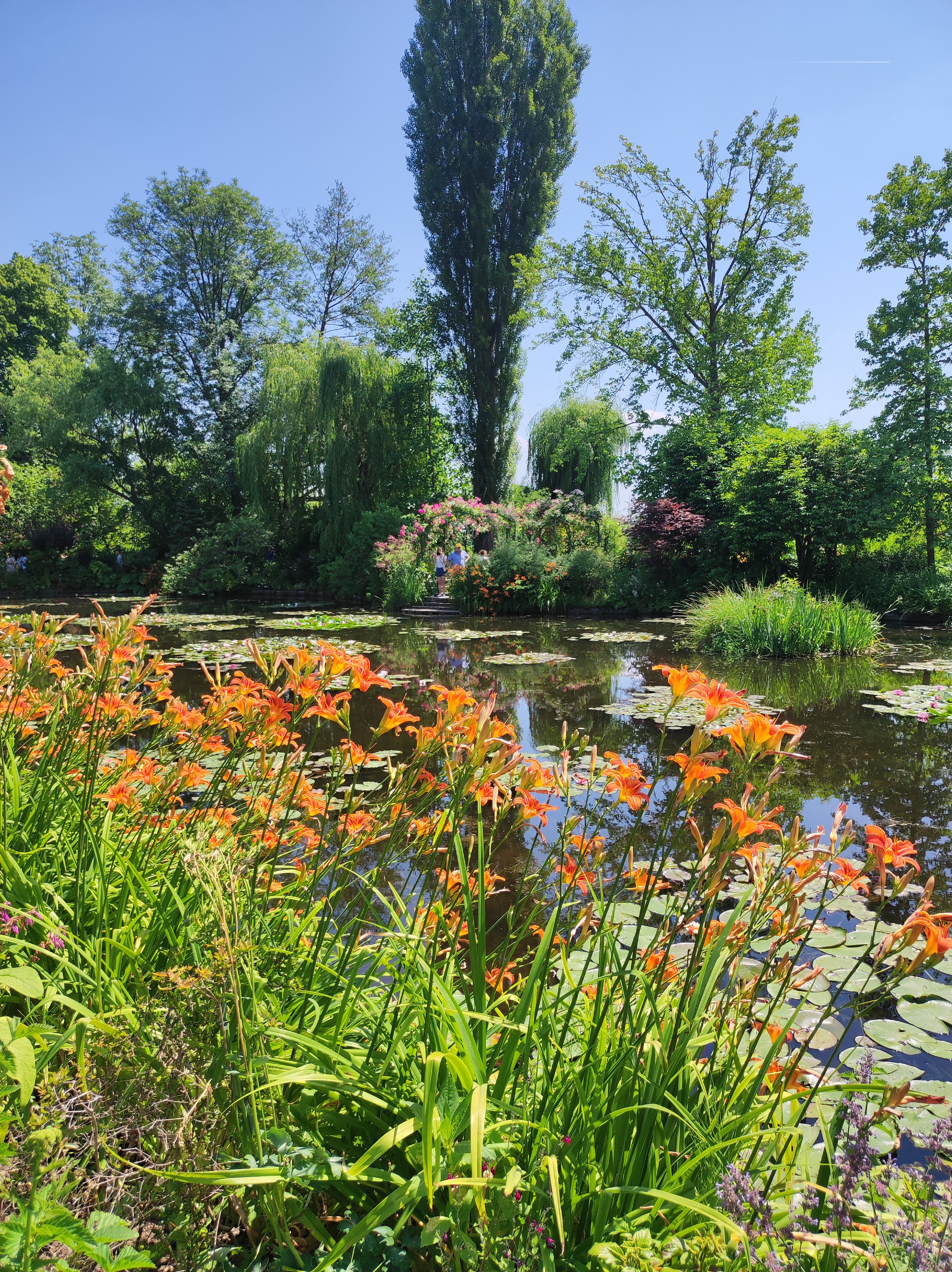 Photo n° 7 de l'avis de Nicole.e fait le 15/06/2023 à 04:49