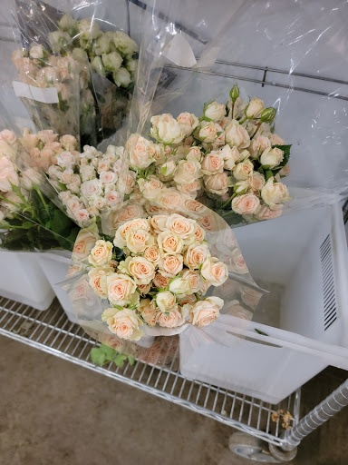 Florist «Botanica Wholesale Florist», reviews and photos, 3208 International Pl, Irving, TX 75062, USA