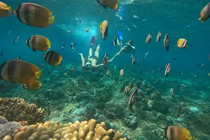 The king of the sea trip snorkeling center and fishing image