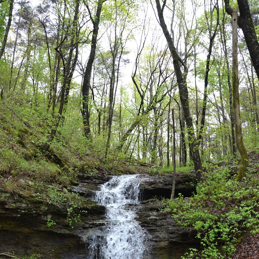 Land Trust of North Alabama: Green Mountain Nature Preserve Alum Hollow Trailhead