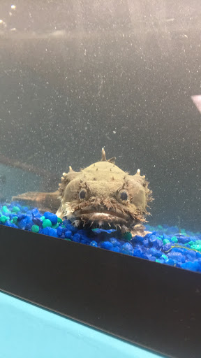 Pet Store «Pet Zone», reviews and photos, 1620 Marion-Mt Gilead Rd, Marion, OH 43302, USA