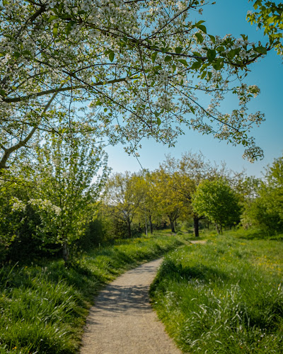 Val de Courance à Saint-Nazaire