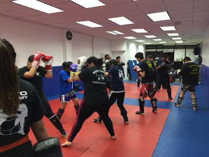 Mayo Kickboxing & MMA Academy