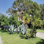 Photo n°2 de l'avis de Massimo.m fait le 28/07/2023 à 13:11 sur le  Rada Siri Hotel à Montepaone Lido