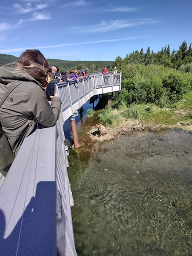 National Park «Katmai National Park and Preserve», reviews and photos