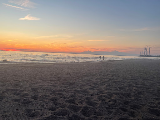 State Park «Woodlawn Beach State Park», reviews and photos, 3580 Lakeshore Rd, Blasdell, NY 14219, USA