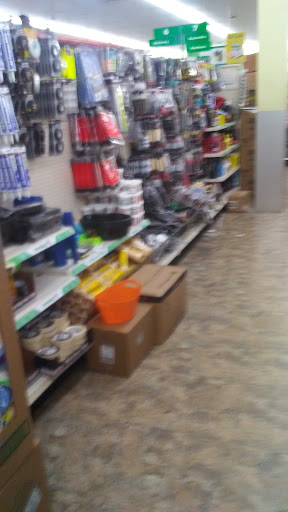 Dollar Store «Dollar Tree», reviews and photos, 7001 Cermak Rd, Berwyn, IL 60402, USA