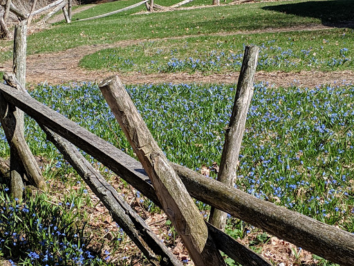 Historical Landmark «Ethan Allen Homestead Museum», reviews and photos, 1 Ethan Allen Homestead, Burlington, VT 05408, USA