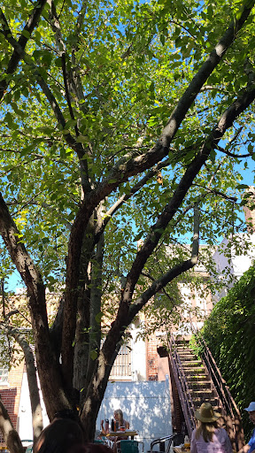 Cafe «Blackberry Market», reviews and photos, 401 N Main St, Glen Ellyn, IL 60137, USA