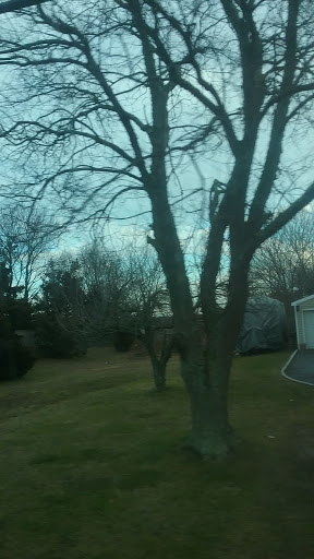 Science Museum «Tesla Science Center», reviews and photos, 5 Randall Rd, Shoreham, NY 11786, USA