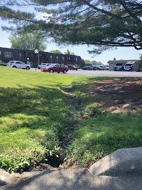 Garza's Professional Landscaping - Photo 7 - Car repair in , Racine