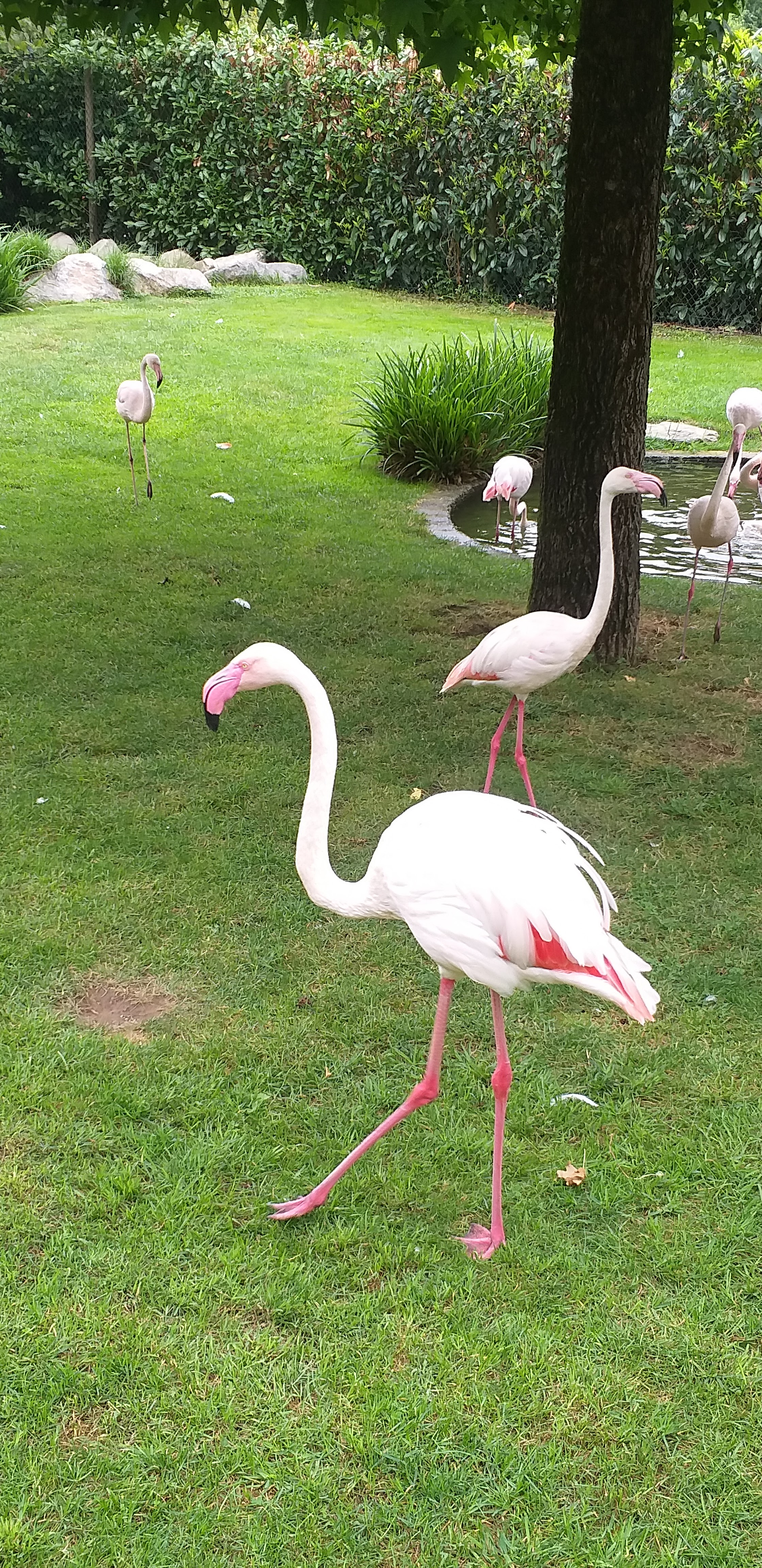 Photo n° 11 de l'avis de Caroline.e fait le 11/08/2019 à 21:48