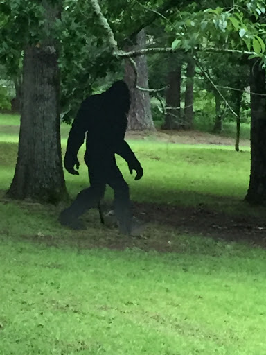 Golf Course «Panola Mountain Golf Course», reviews and photos, 1850 County Line Rd, Ellenwood, GA 30294, USA