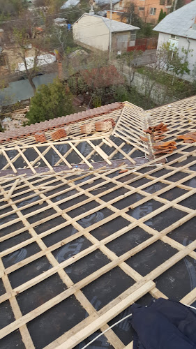 Roof Master Expert - Firmă de construcții