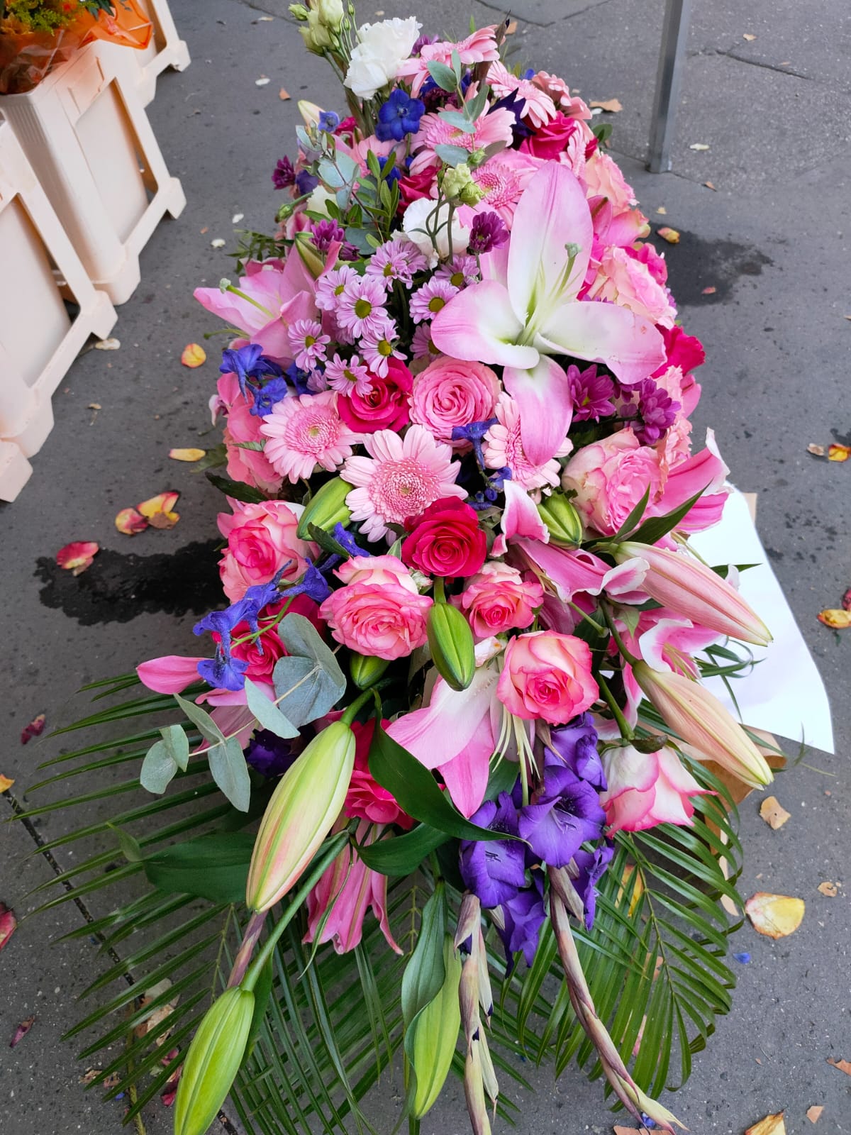 Photo n° 19 de l'avis de Fleur.e fait le 12/03/2023 à 08:12