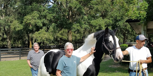 Gypsy Gold Horse Farm