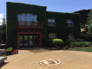 Lancaster Vineyards - photo 6