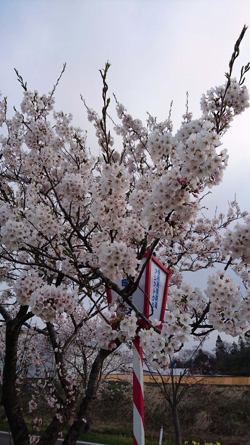 日新館・矢島公民館