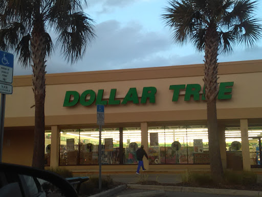 Dollar Store «Dollar Tree», reviews and photos, 21525 Village Lakes Shopping Center Dr, Land O Lakes, FL 34639, USA