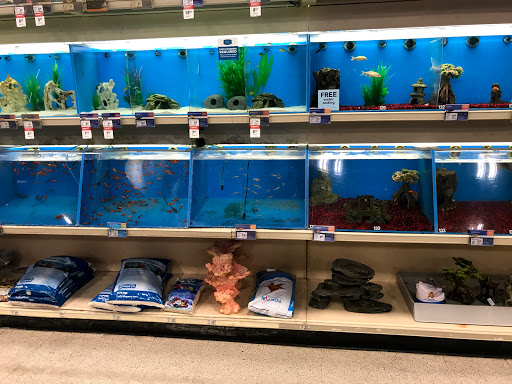Pet Supply Store «PetSmart», reviews and photos, 200 S Village Center Dr, Southlake, TX 76092, USA
