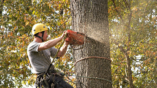 Keelen Brothers Tree Service, Inc