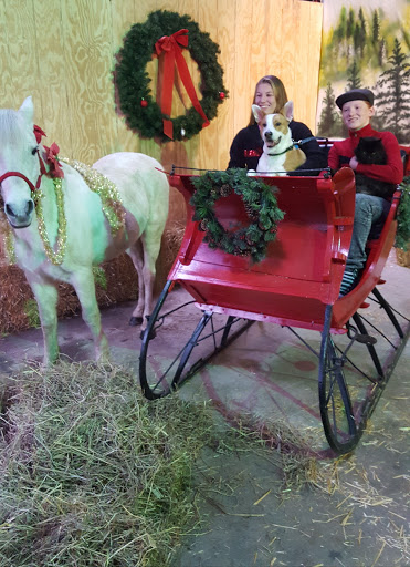 Pet Supply Store «Pequannock Feed & Pet Supply», reviews and photos, 85 Marshall Hill Rd, West Milford, NJ 07480, USA