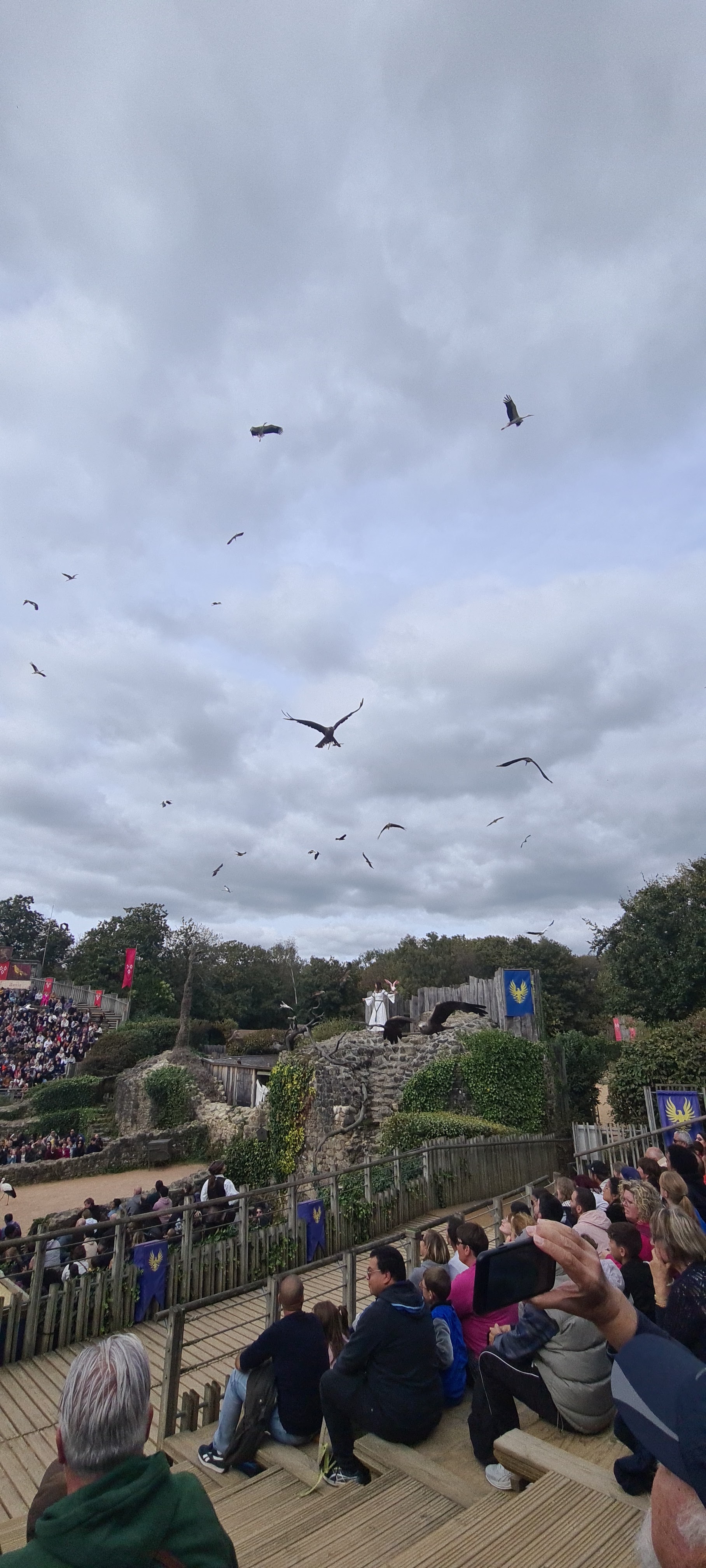 Photo n° 22 de l'avis de T. fait le 15/10/2023 à 18:06