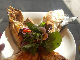 Altın Balık Restaurant