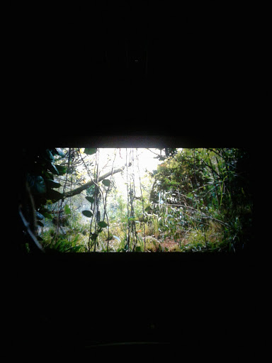 Movie Theater «Cinemark Seven Bridges and IMAX», reviews and photos, 6500 IL-53, Woodridge, IL 60517, USA