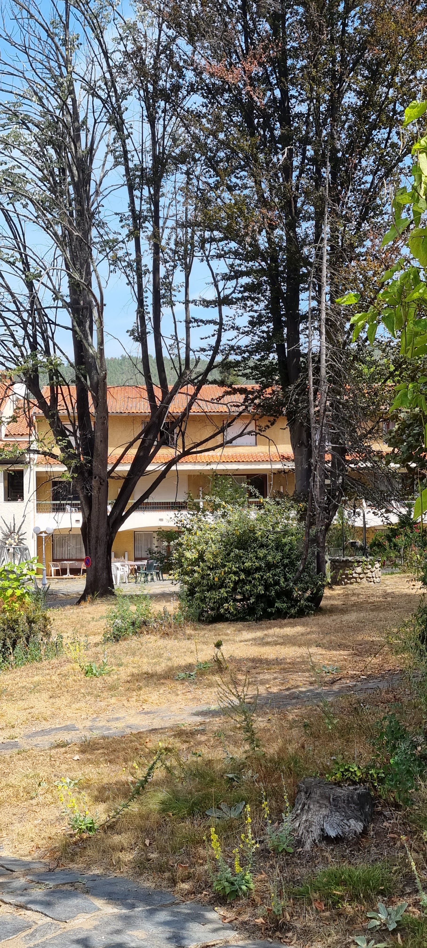 Photo n° 2 de l'avis de Carmen.a fait le 22/08/2023 à 15:57