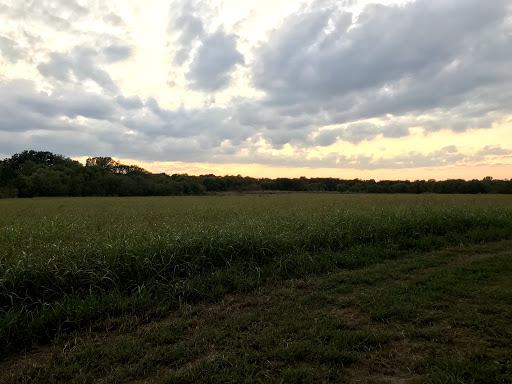 Public Golf Course «The Courses at Watters Creek», reviews and photos, 7201 Chase Oaks Blvd, Plano, TX 75025, USA