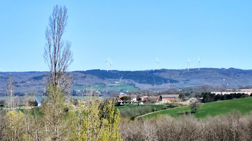 La Vache Occitane à Puylaurens